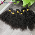 Xuchang hair extensions virgin cutcile aligned hair unprocessed raw burmese curly human hair vendor with bundles and frontal